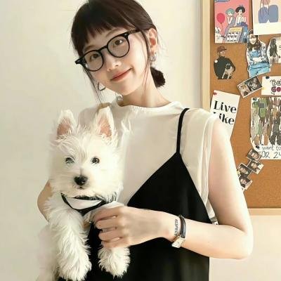 龙城风云海报